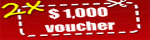 1000-vouchers - DOI
