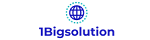1bigsolution