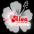 aloa-vacances.com