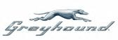AM- Greyhound_CPS_US (Reporting+1 Day)