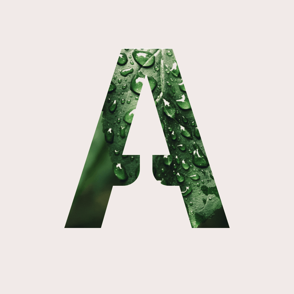 Aspiration - Climate Friendly Banking