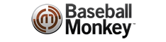 Baseball Monkey
