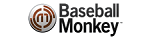 Baseball Monkey