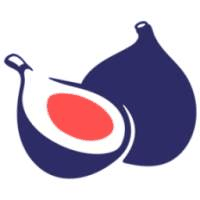 Big Fig Mattress