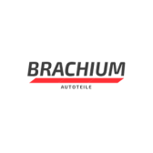 Brachium Autoteile DE