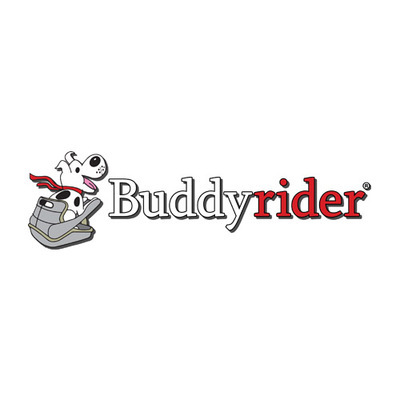 Buddy Ventures International Ltd.