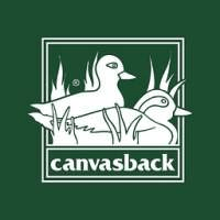 canvasback