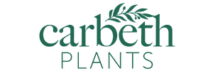 Carbeth Plants