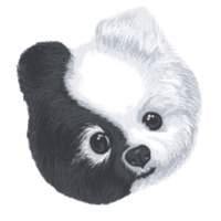 Chi Dog US