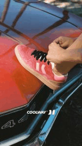 Coolway DE