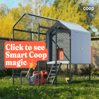 COOP