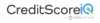 CreditScoreIQ Utility Reporting