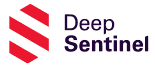 Deep Sentinel Home Security