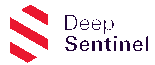 Deep Sentinel Home Security