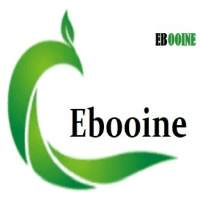 Ebooine
