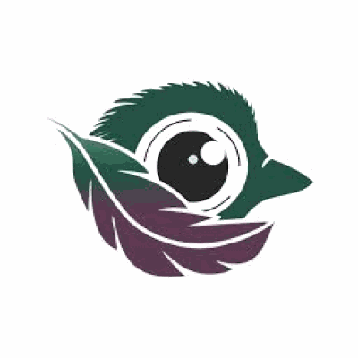 feathersnapcam.com