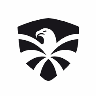 flyingeagleskate.com