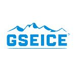 GSEICE