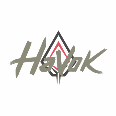 Havok Solutions