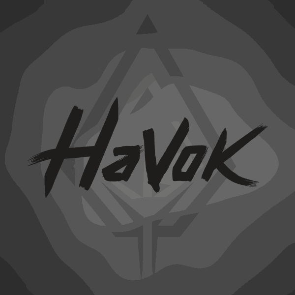 Havok Solutions
