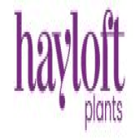 Hayloft Plants