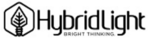 Hybrid Light