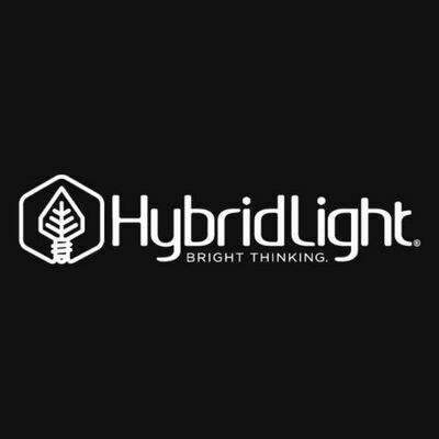 Hybrid Light