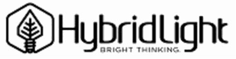 Hybrid Light