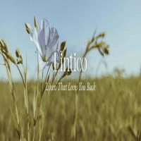 LINTICO