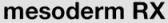 Mesodermrx.com