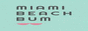 Miami Beach Bum (US)
