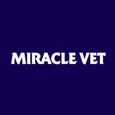 Miracle Vet