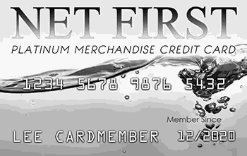 NetFirst Platinum