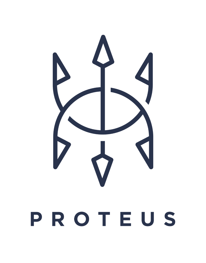Proteus Snowboards