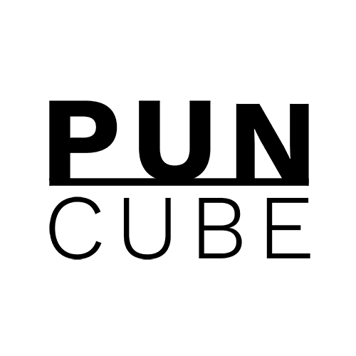 PUNCUBE INC