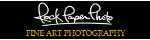 Rock Paper Photo