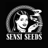 SensiSeeds UK