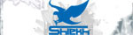 ShiekhShoes.com