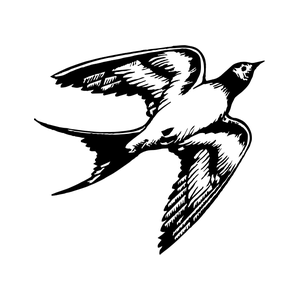 Skylark Travel Group