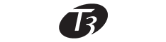 T3
