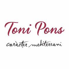 Toni Pons IT