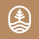 Tsoji