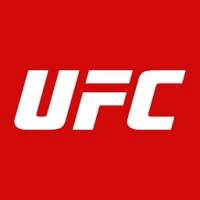 UFC Fight Club