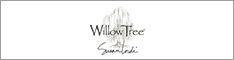 Willow Tree
