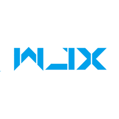 Wjx Tattoo- Cartridges Needles
