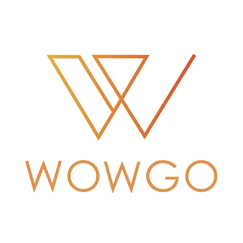 WowGo Board